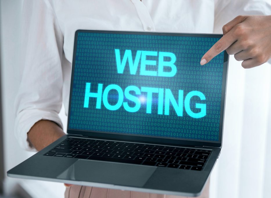 Best Small Business Web Hosting Options