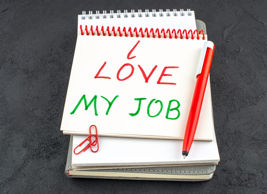 How to find a job you love